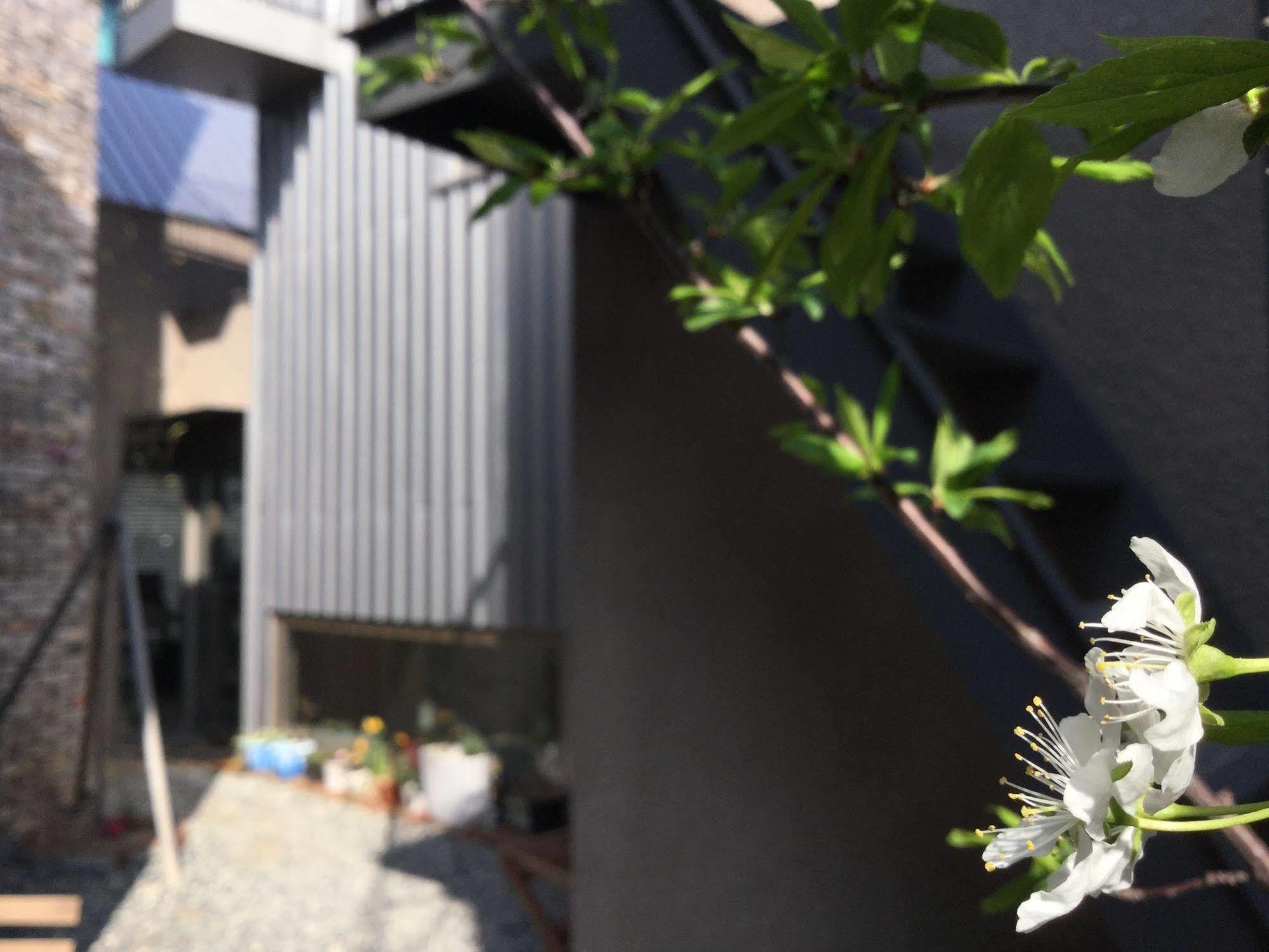 Inside Busan Hostel Εξωτερικό φωτογραφία